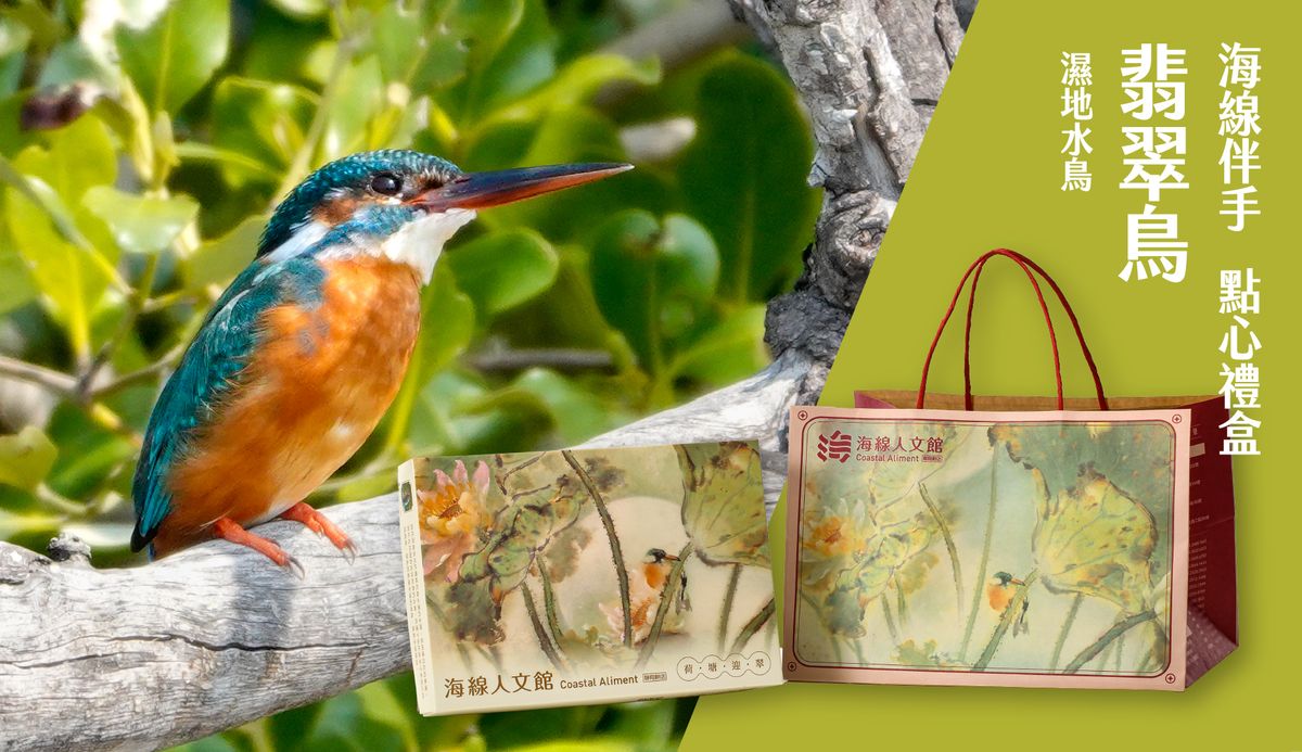 /packing/common_kingfisher