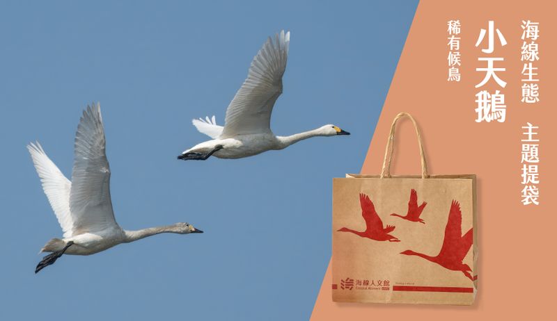 /packing/tundra-swan
