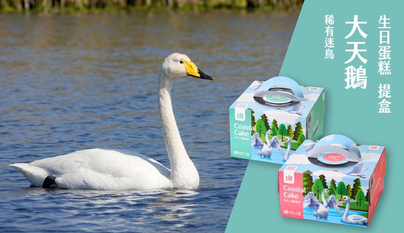 /packing/whooper_swan_cakebox